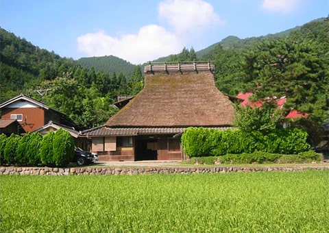 MIYAMA F&B